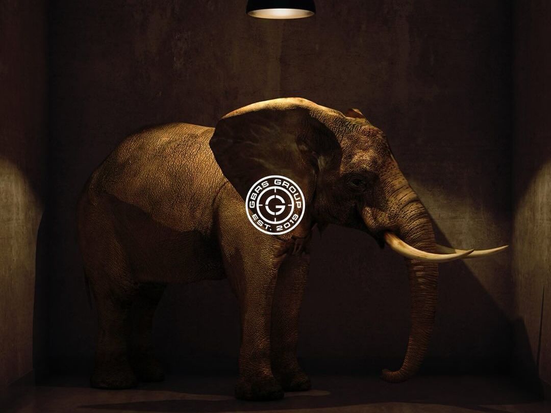 【gbrs】(内嵌中字)elephant in the room(丢枪报警事件)