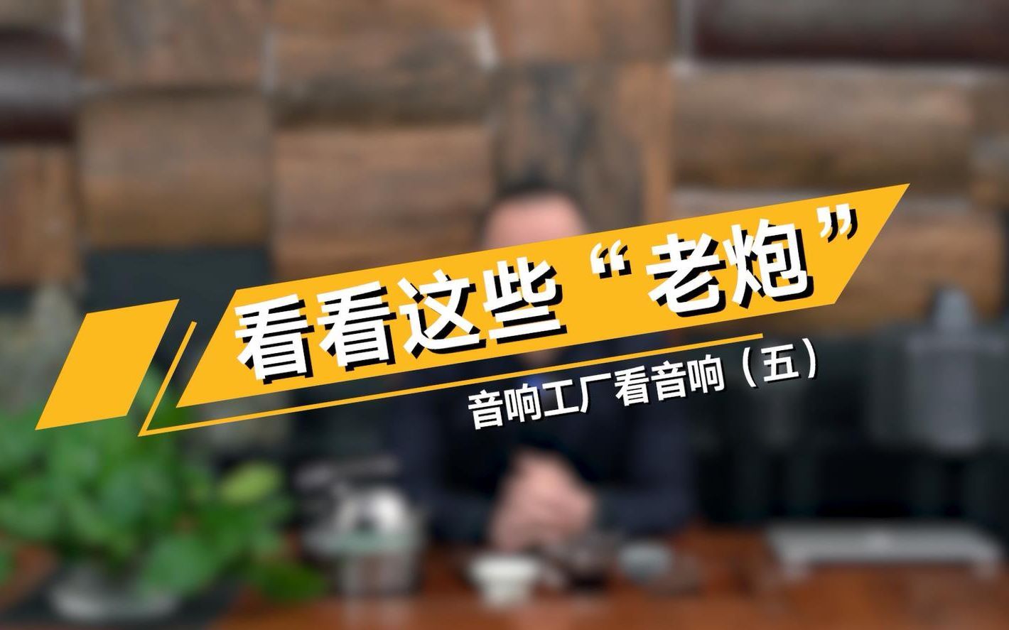 如何判断音箱的音场还原—— 音响工厂看音响(五)哔哩哔哩bilibili