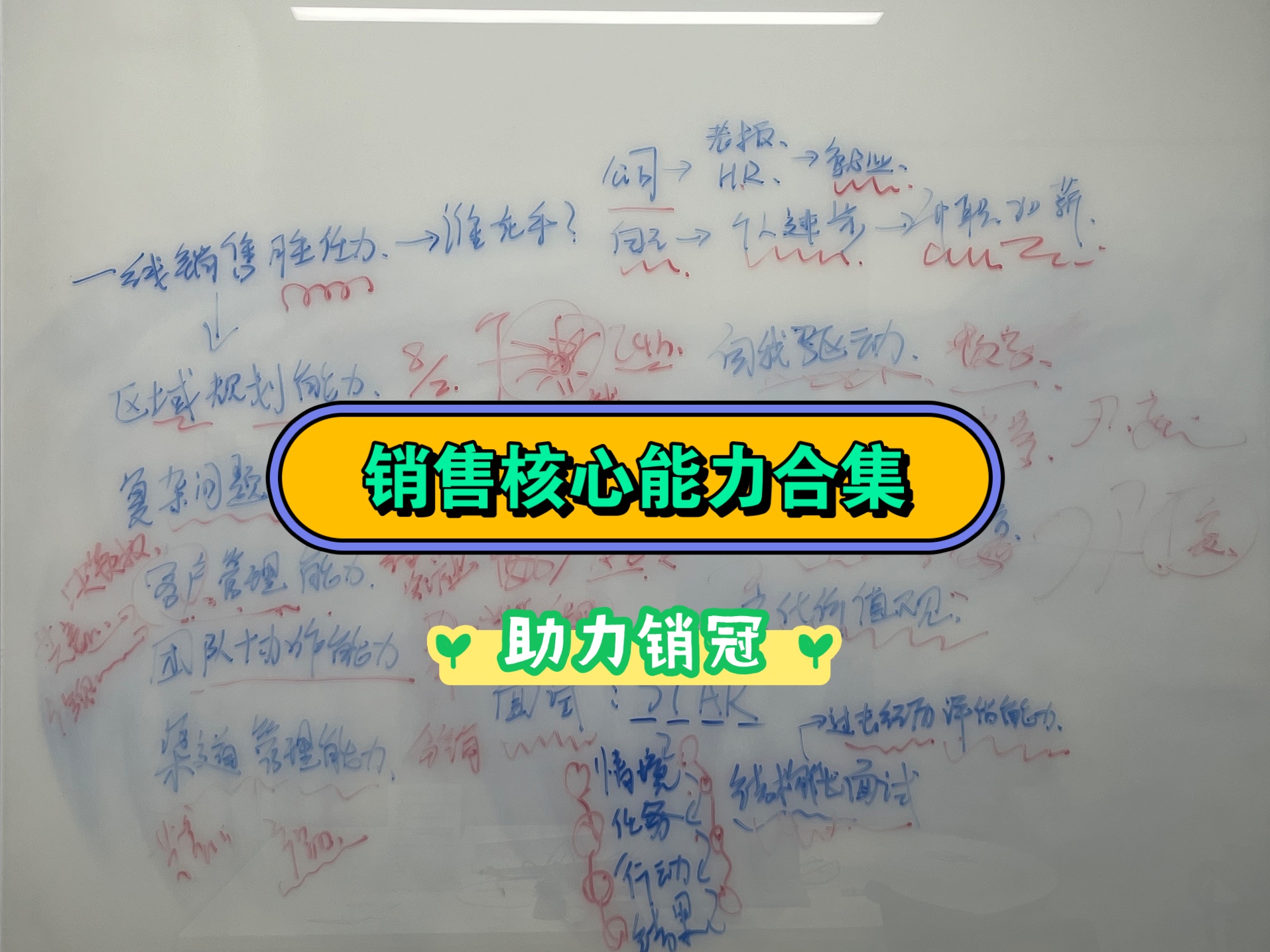 世界500强销售面试看哪些能力合集;助力每一个销冠养成哔哩哔哩bilibili