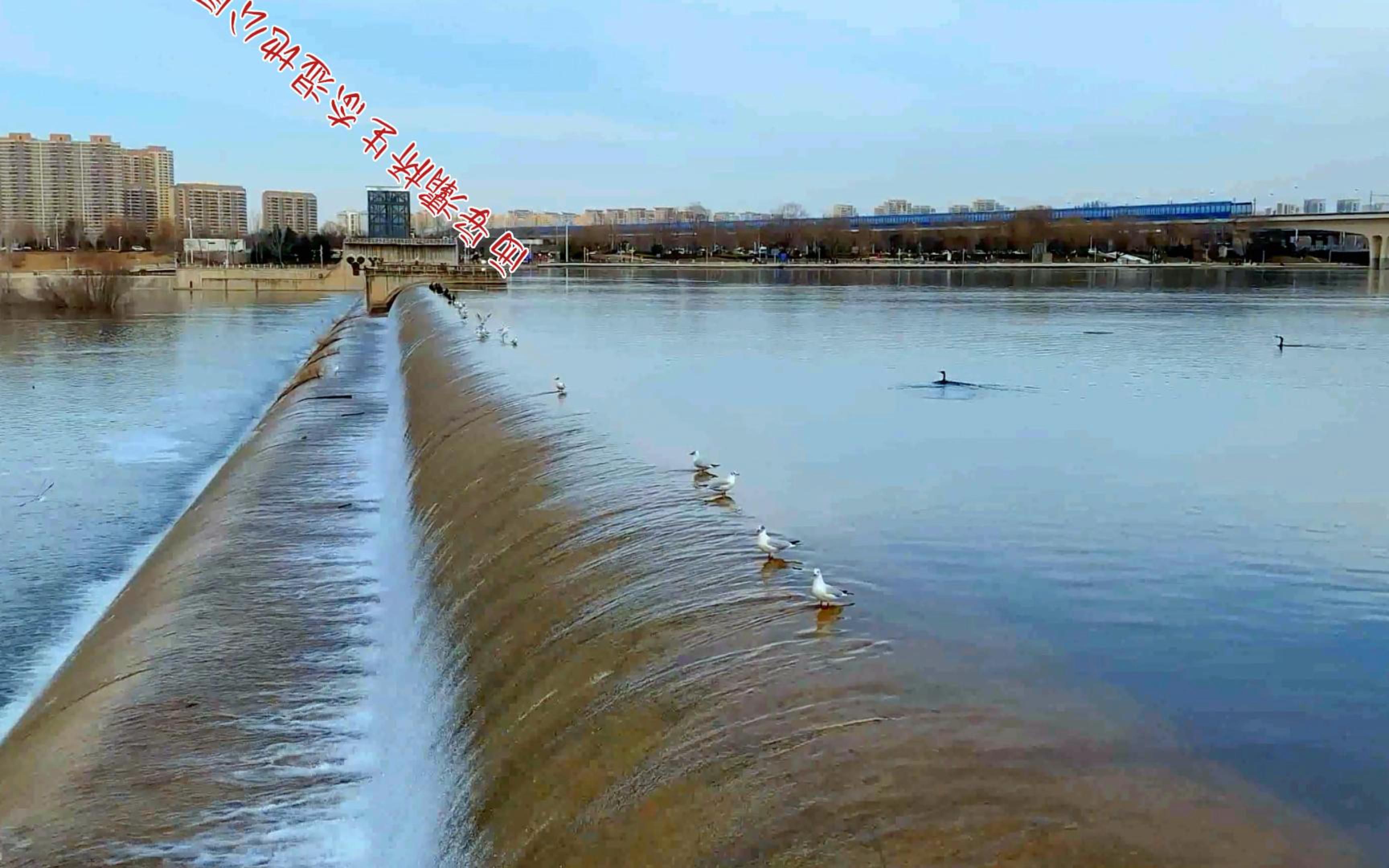西安灞桥生态湿地公园