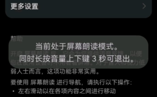 “屏幕朗读”到底是什么东西?为什么我那么希望小鸡词典适配屏幕朗读?哔哩哔哩bilibili