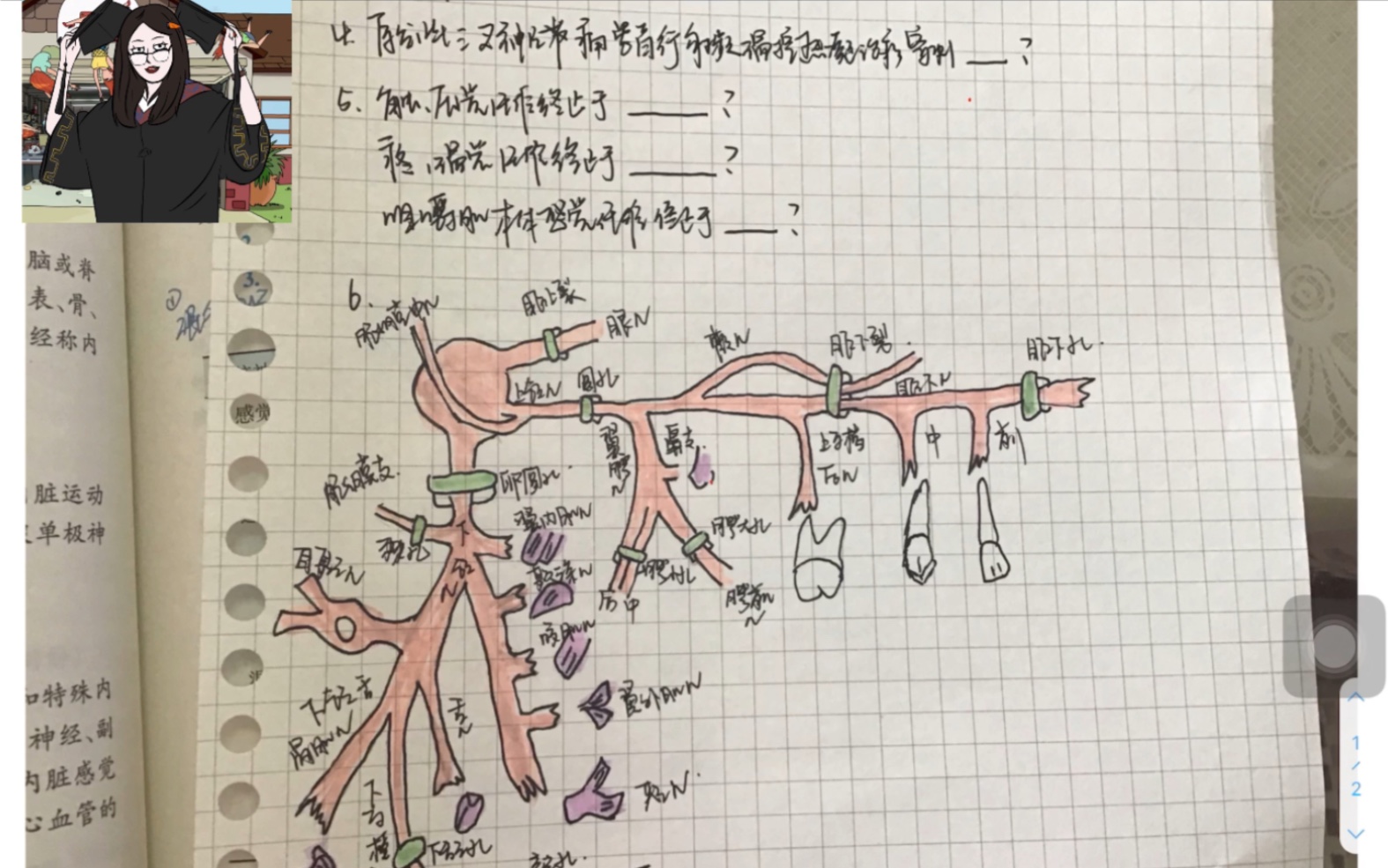 [图]口解简图学习法之复杂的三叉神经（口腔解剖生理学）