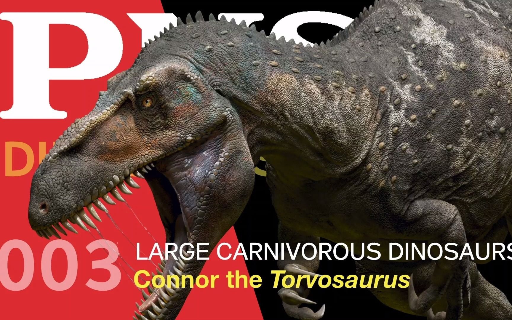 pnso恐龙博物馆:侏罗纪的王者——蛮龙_哔哩哔哩_bilibili