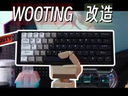 Video herunterladen: 来看看我的wooting改造？简单几步拯救wooting糟糕质感