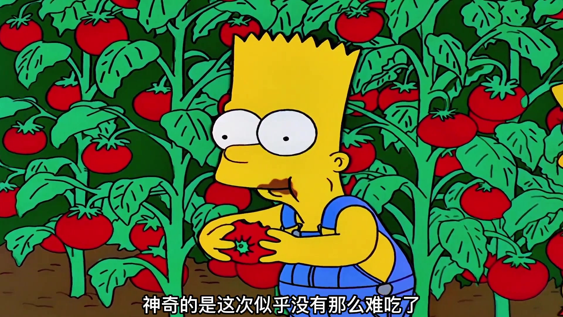 辛普森一家预言系列之《变异西红柿》,一集看完一个故事