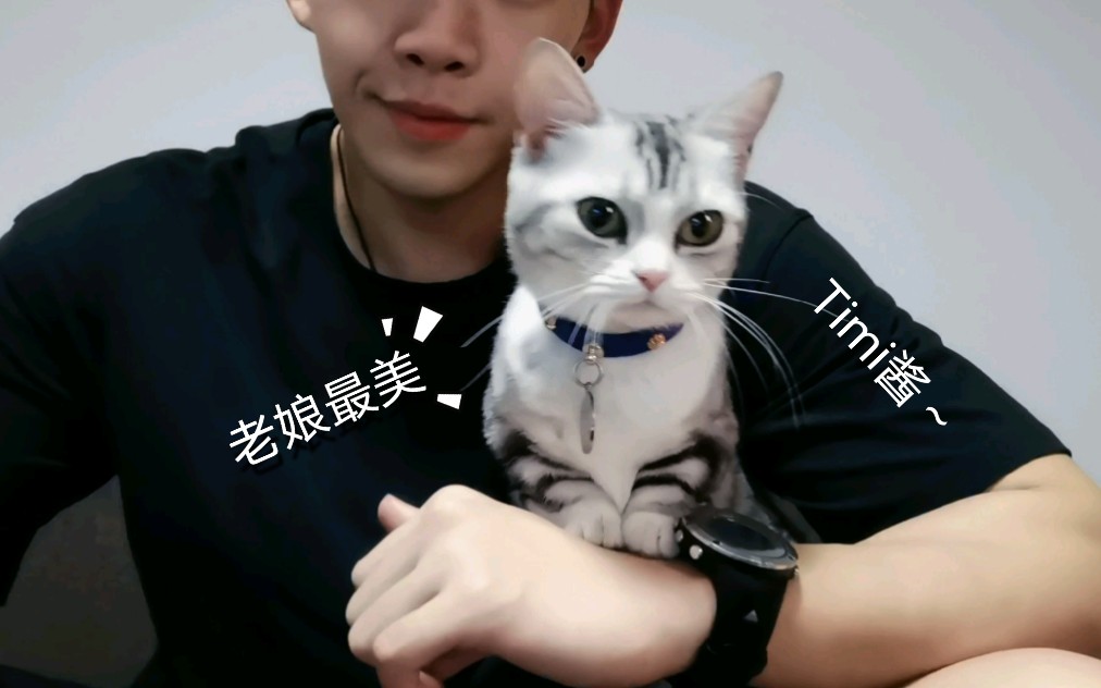 【粘 人 精】Timi酱~哔哩哔哩bilibili