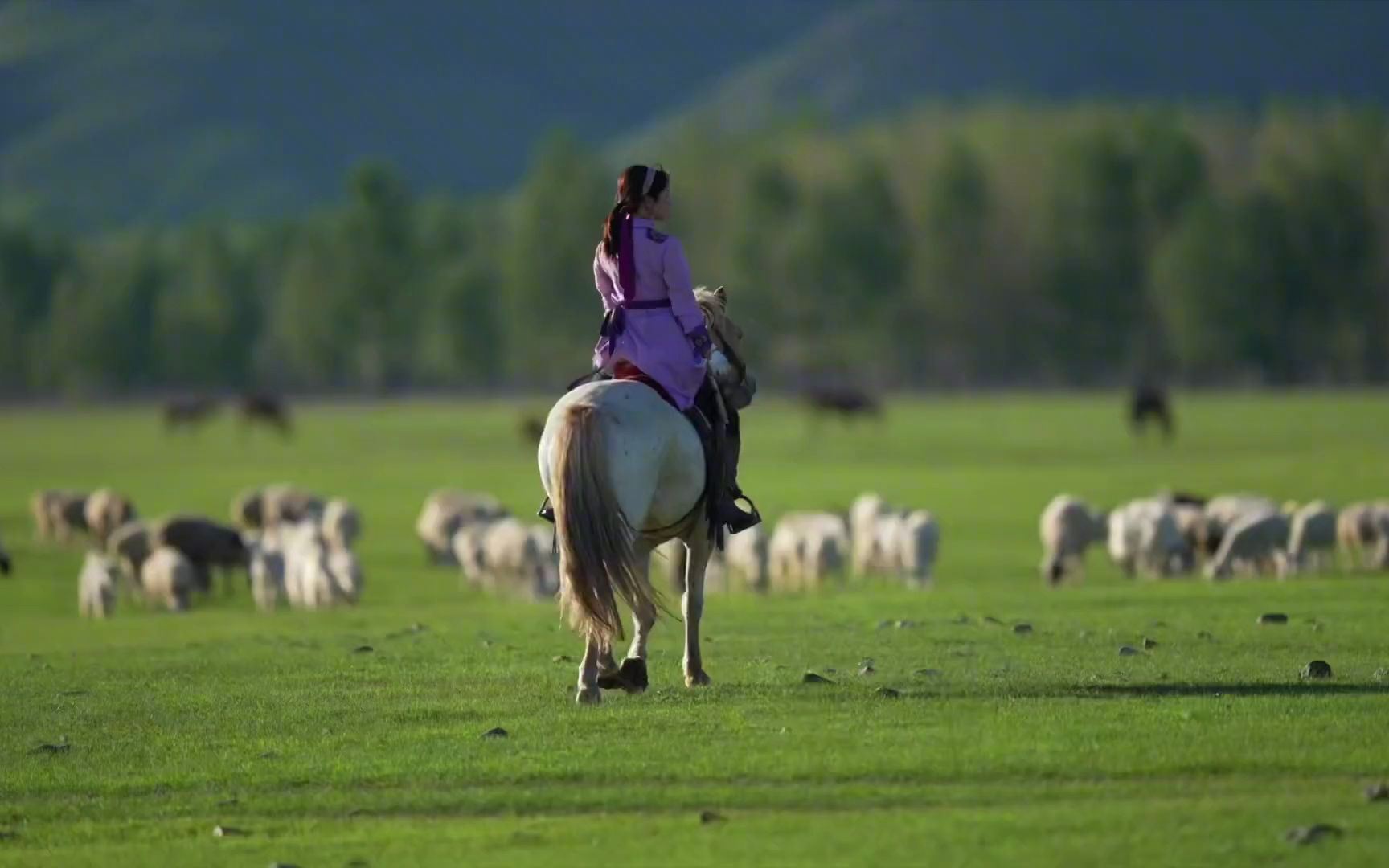 月薪20w,在草原放羊,没有网络没有汽车,出门都骑马,你愿意嘛?