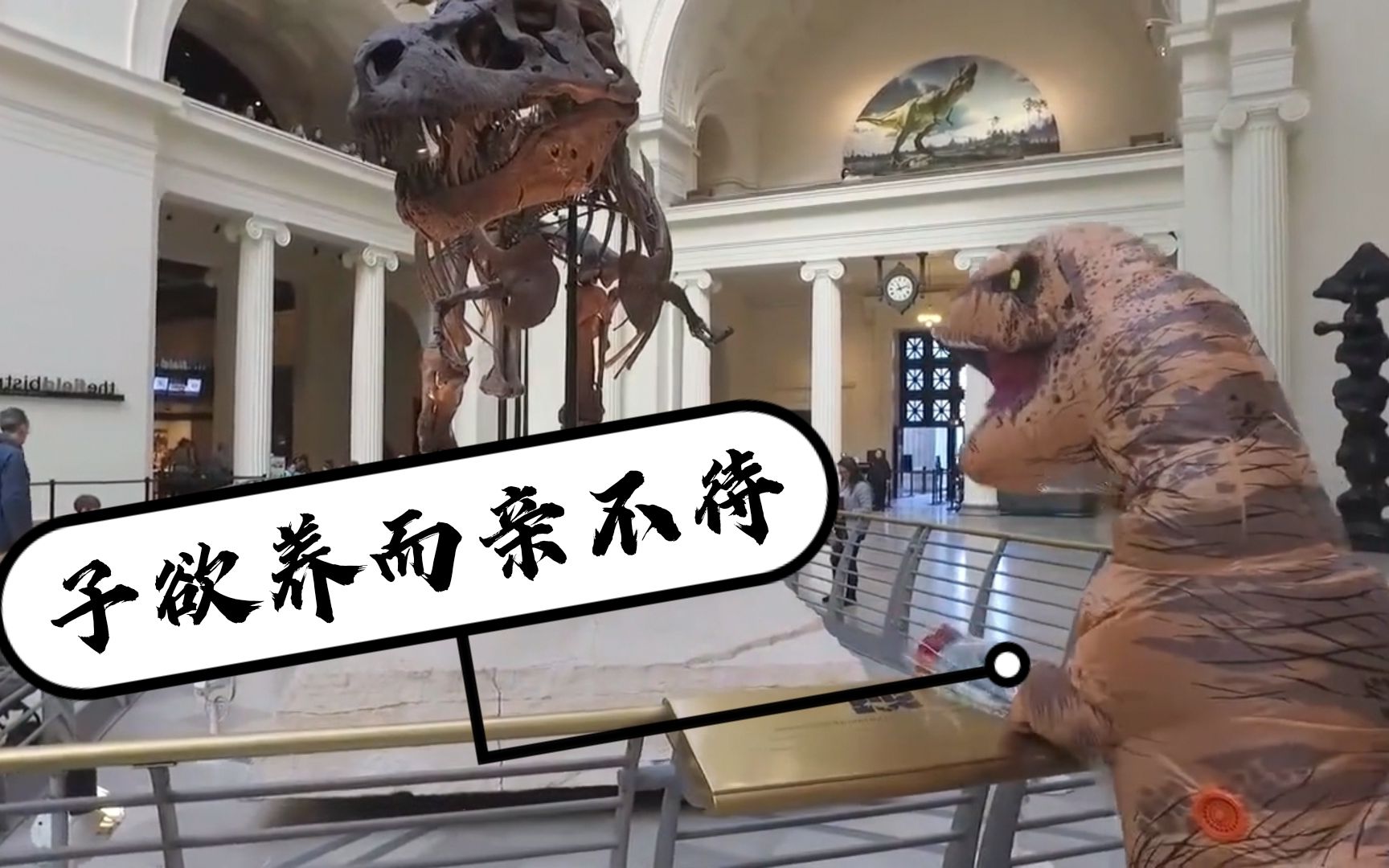 什么叫 子欲养而亲不待啊  小恐龙