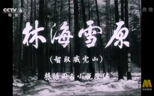 Скачать видео: 【高清修复版】《林海雪原》1080P.1960（CCTV6 6.5GB）