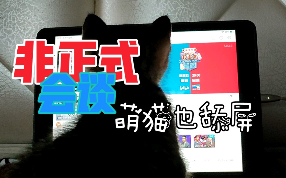 [图]盼星盼月盼非正[非正式会谈]第6.5季开播，萌猫也舔屏！？