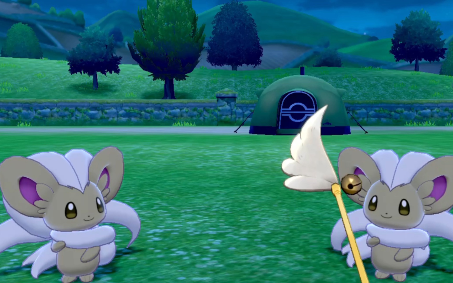 【宝可梦剑盾】活动闪光奇诺栗鼠