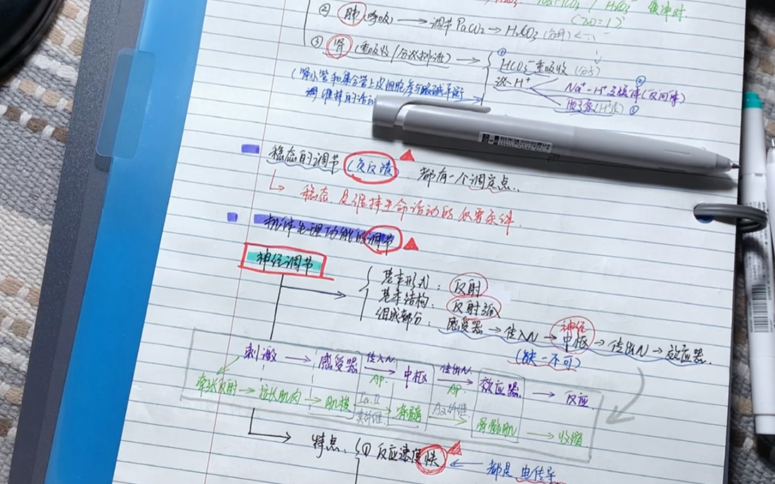 (纯分享)看【小亮生理ⷧ𛪨€‘的做笔记实录//医学生笔记//1H30M加速哔哩哔哩bilibili