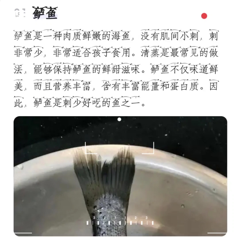 盘点一些刺少的鱼哔哩哔哩bilibili