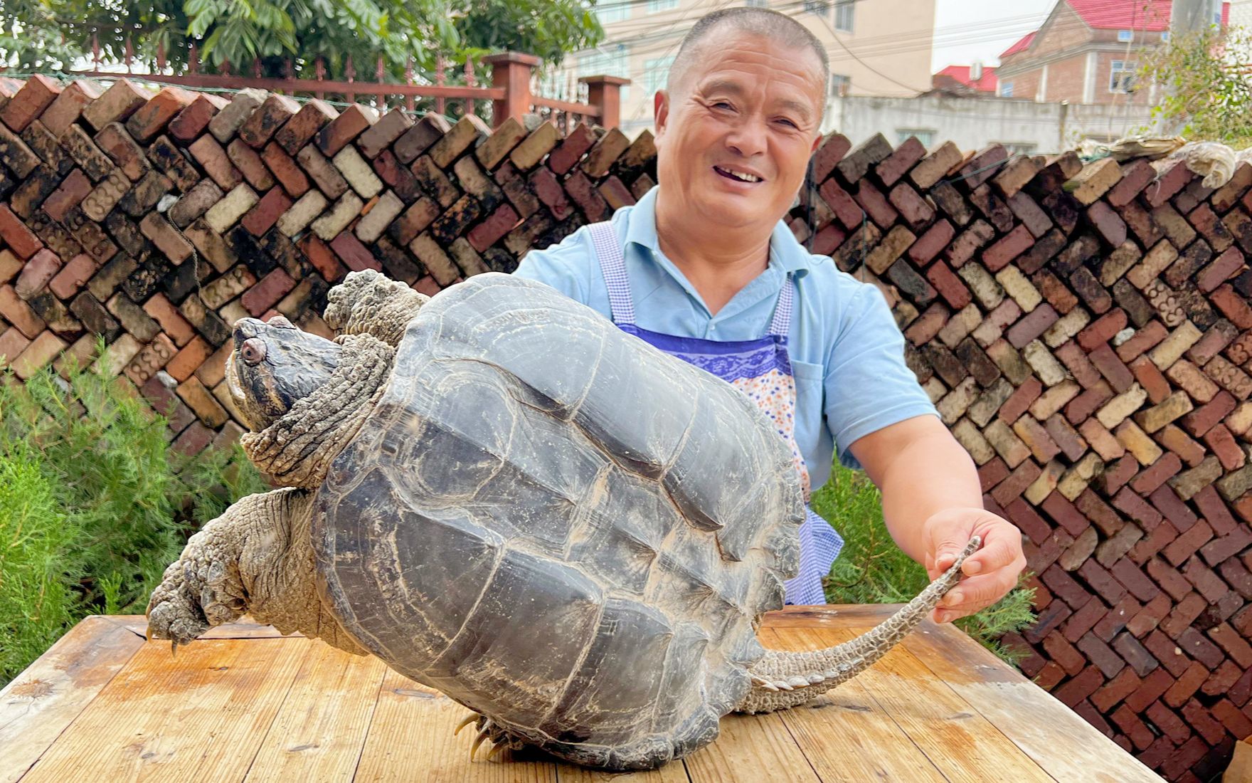 850买只30斤重龟王,农村柴火灶炖上1小时,十几人敞开肚皮吃肉哔哩哔哩bilibili