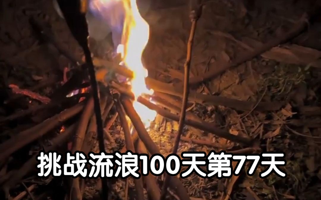 [图]挑战流浪100天第77天 制作鱼竿钓鱼