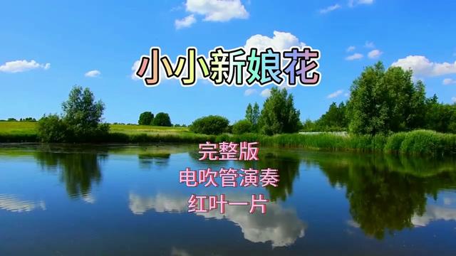 电吹管演奏《小小新娘花》