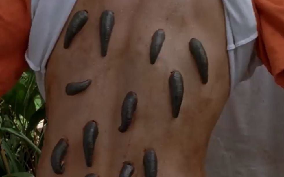 水蟒2-吸血水蛭场景 ,经典惊悚,你敢看吗,hd电影剪辑_哔哩哔哩 (゜-゜