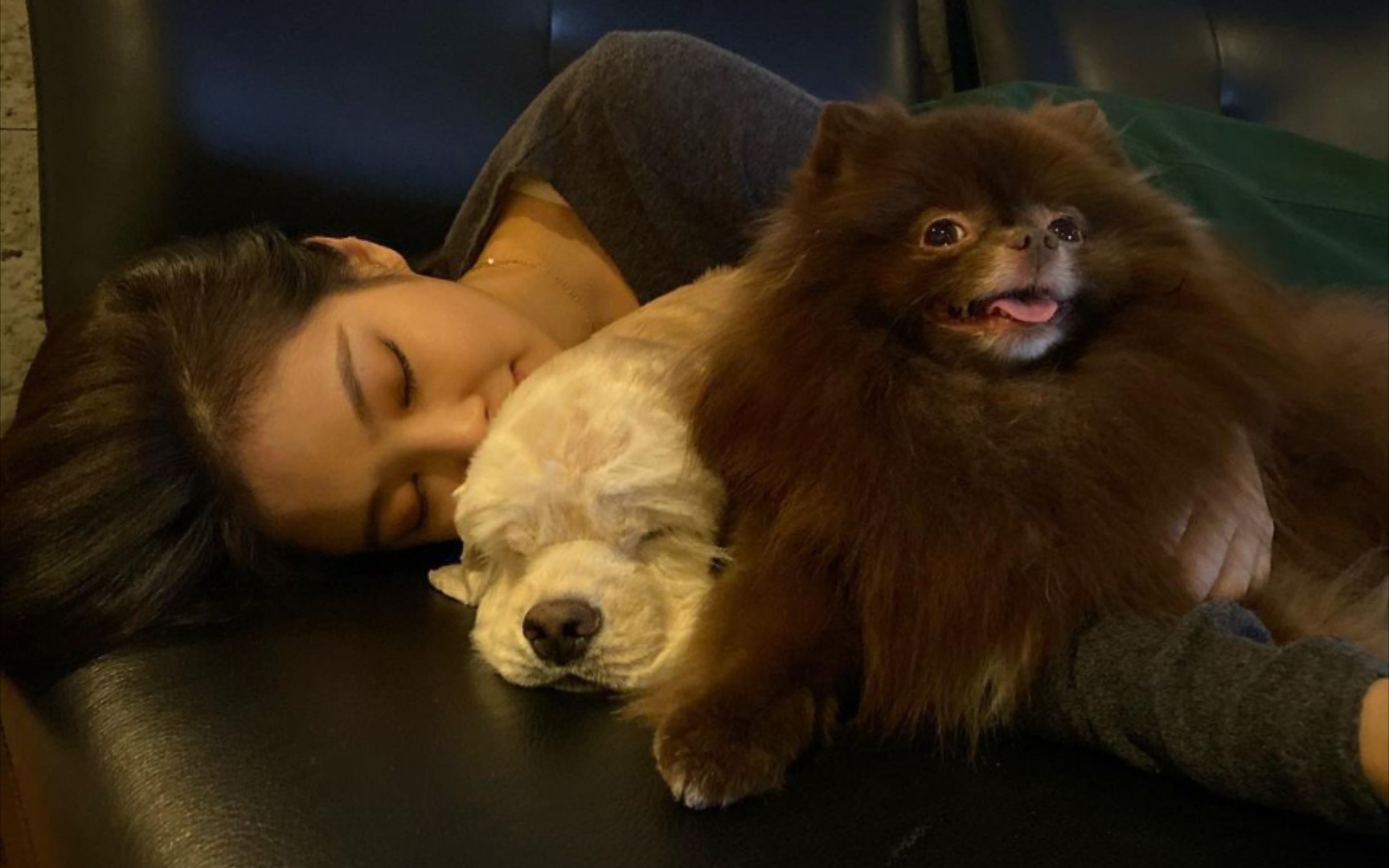 jennie金智妮blackpink我的小狗很可爱来看看小妮子的狗到底有多么的