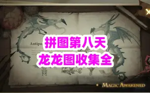 Download Video: 《哈利波特：魔法觉醒》第八天拼图，龙龙图