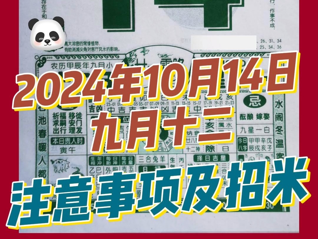 10月14日,农历九月十二,解读注意事项哔哩哔哩bilibili