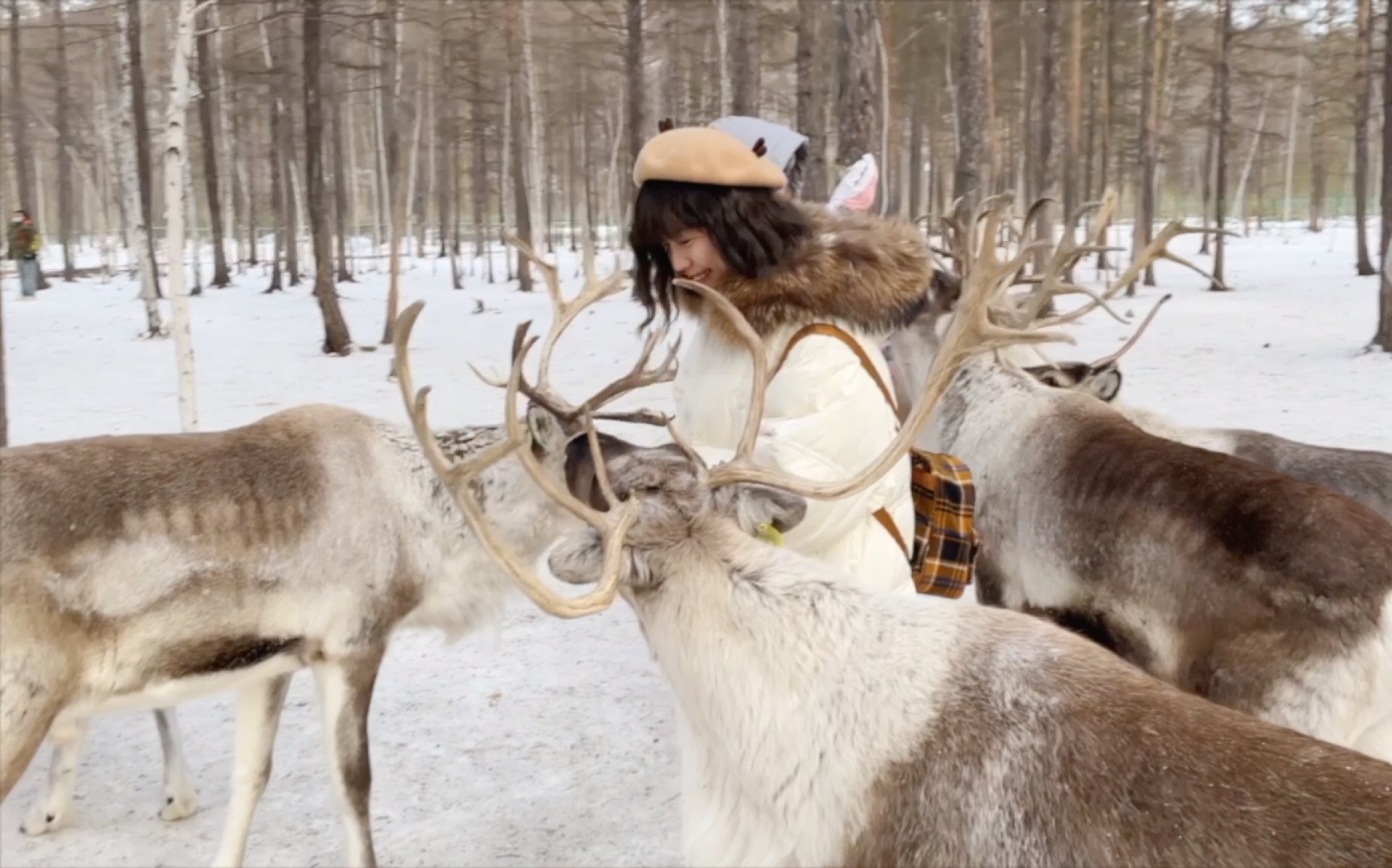 治愈旅行61喂驯鹿 跳雪海 夏日降温61最北看雪景61走遍世界各地