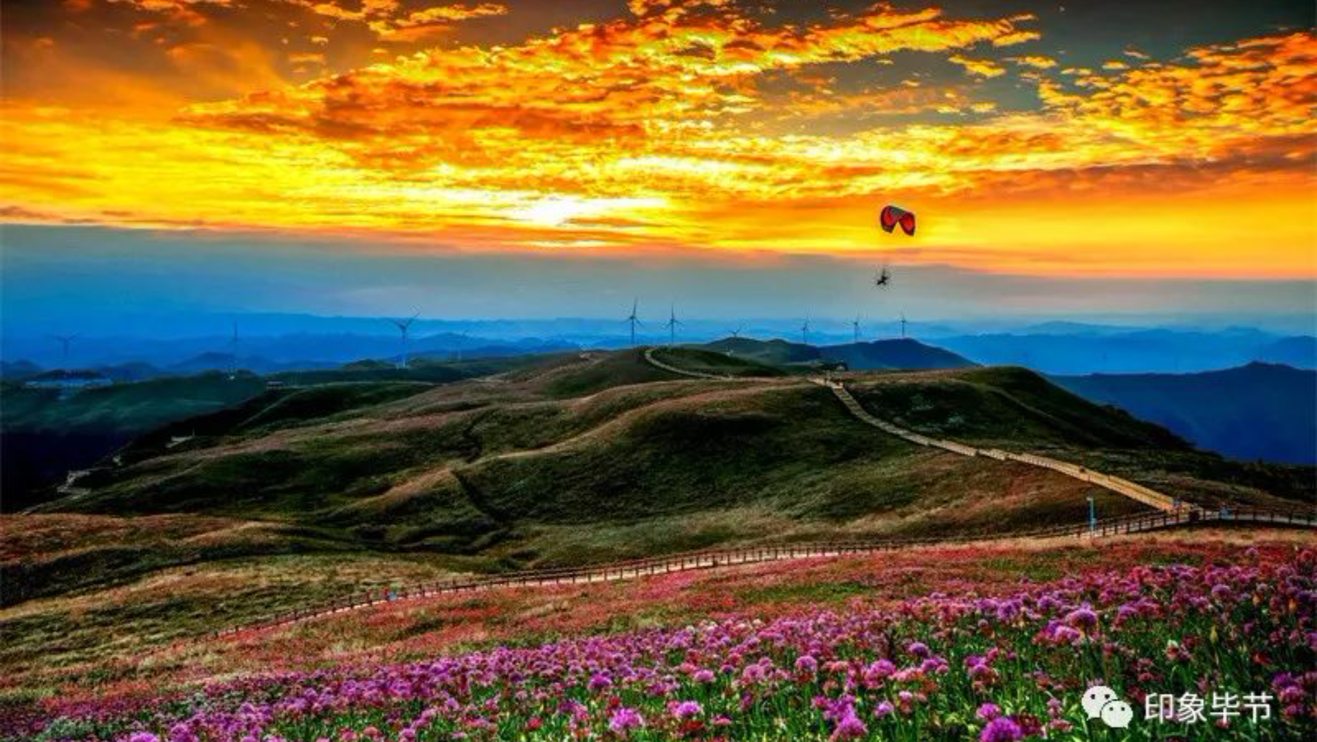 天上花海〈贵州省毕节〉