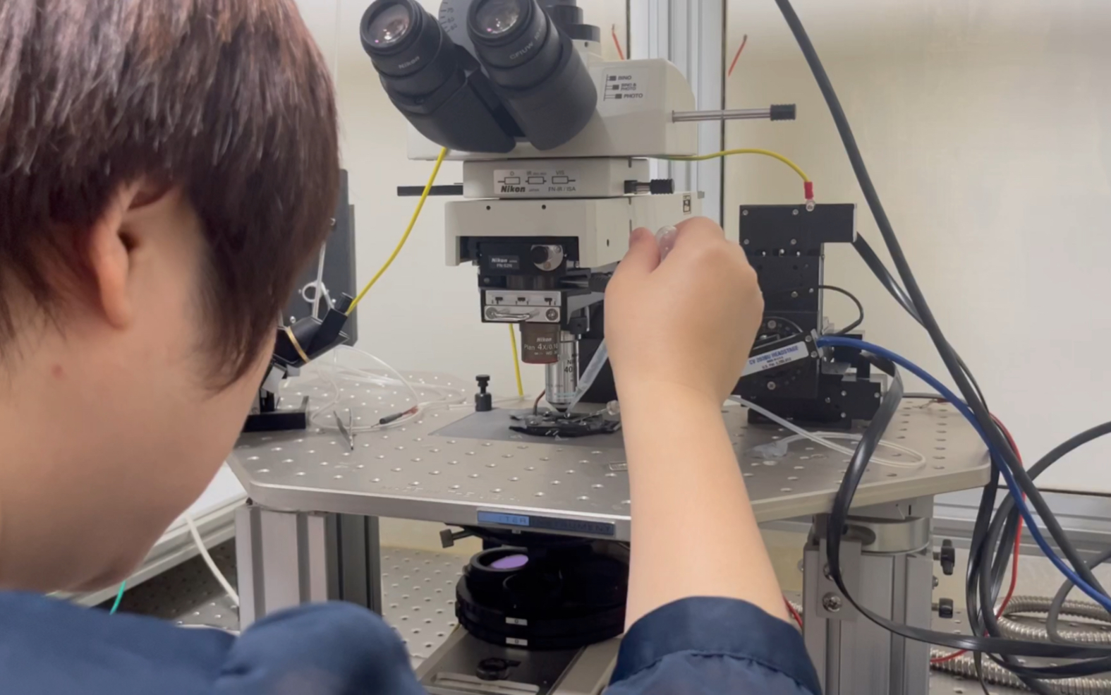 Patch Clamp Instrument Calibration and Operation