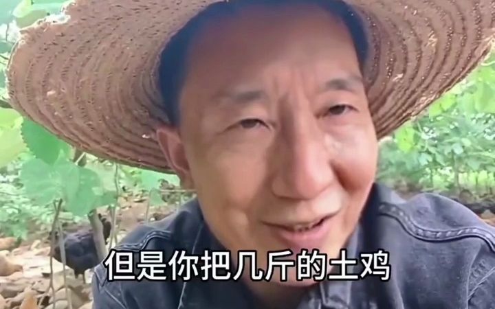 养鸡之后彻底疯狂,离谱商家的反向宣传哔哩哔哩bilibili