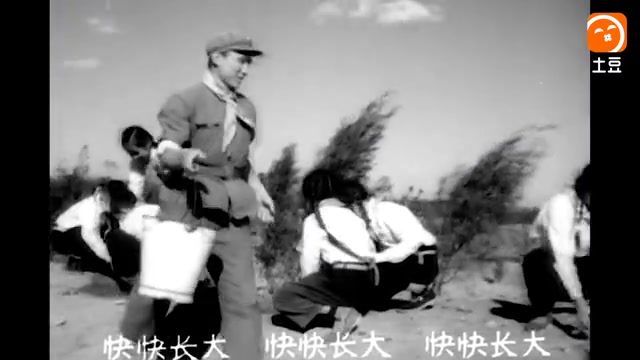 [图]怀旧电影金曲1964雷锋插曲小松树快长大