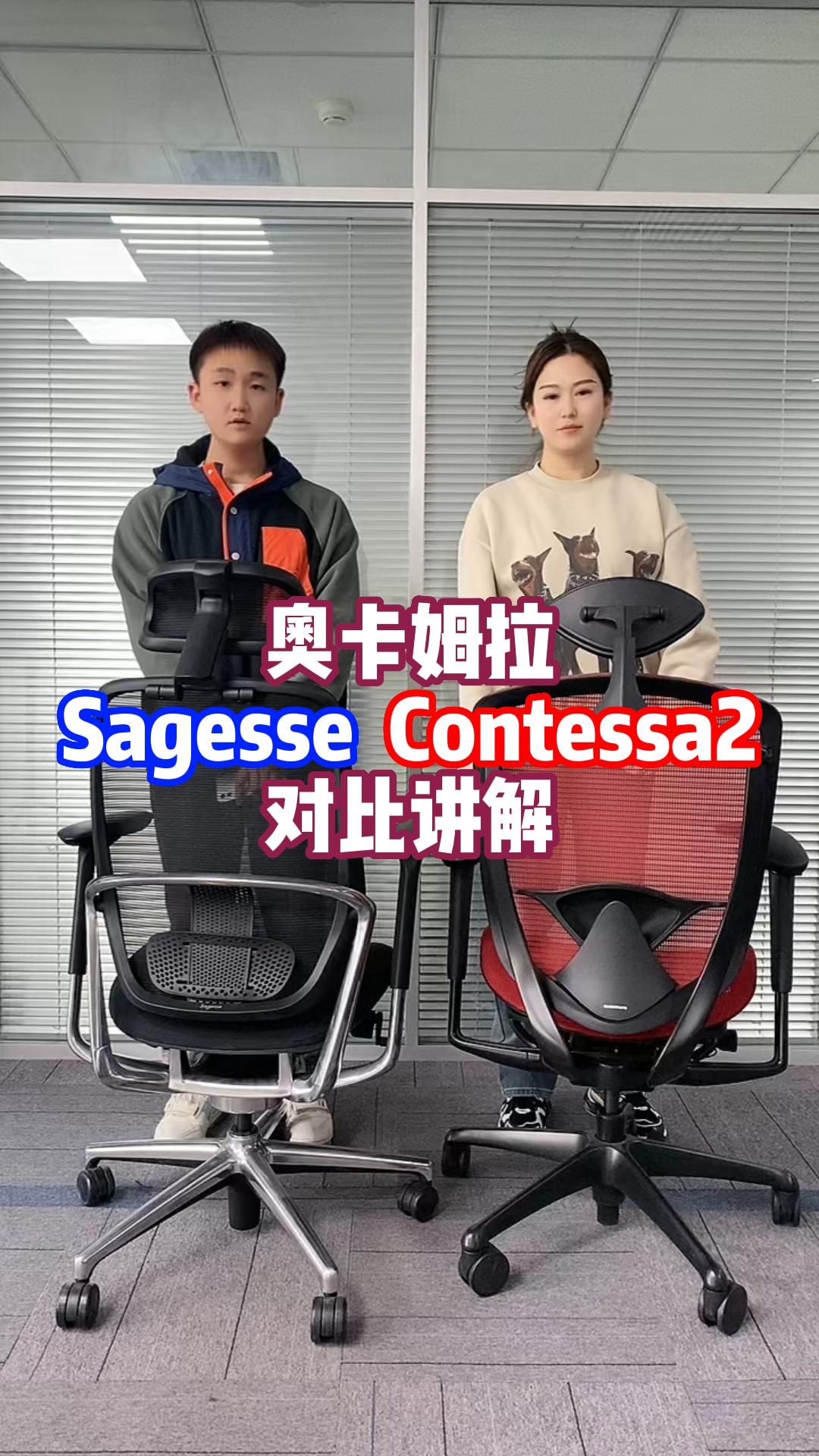 奥卡姆拉同门pk sagesse与contessa2对比讲解哔哩哔哩bilibili