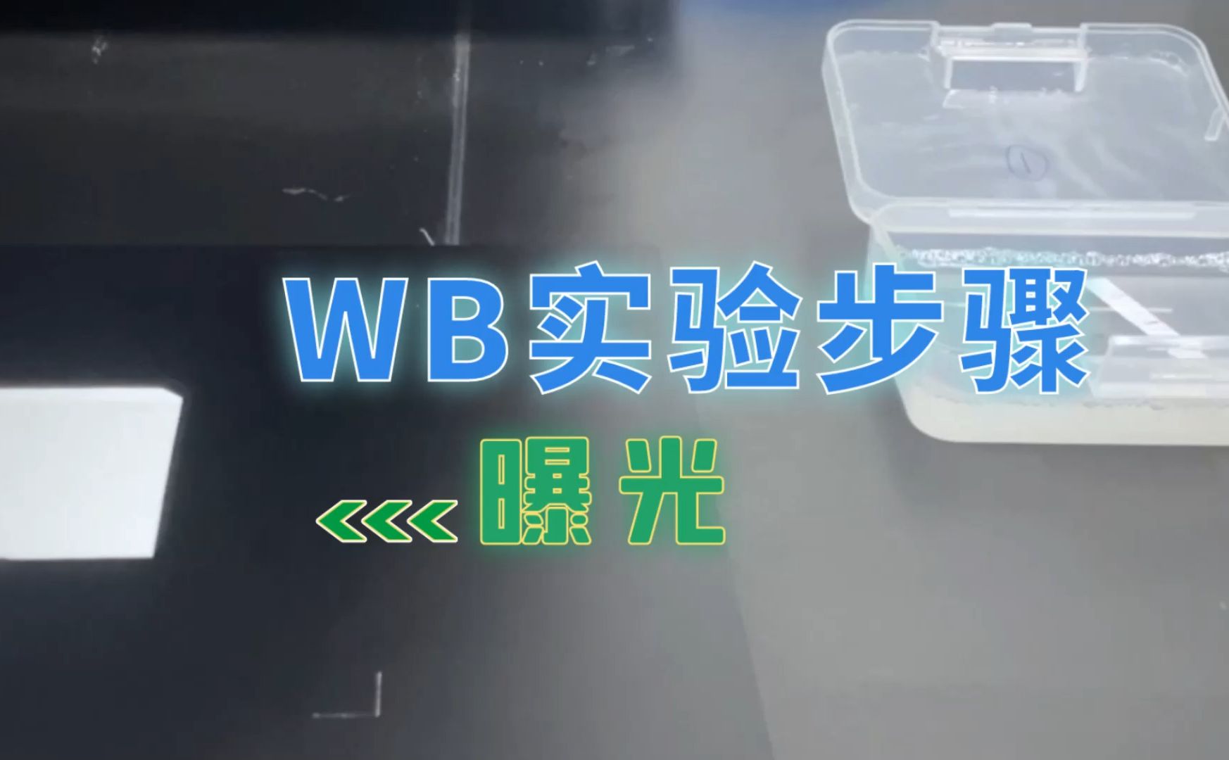 蛋白免疫印迹WB实验“曝光”操作流程哔哩哔哩bilibili