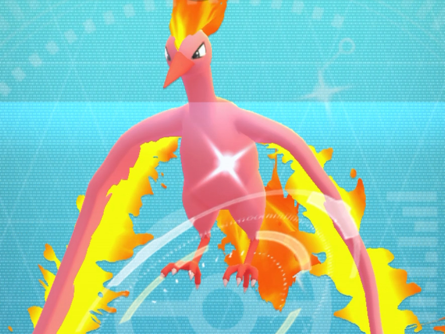 go亮晶晶极巨化闪火焰鸟