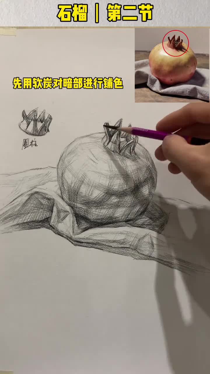 第二节石榴的素描画法,完整步骤已出哔哩哔哩bilibili