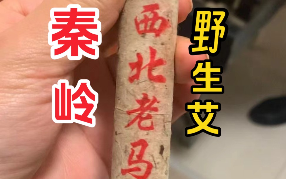 秦岭野生艾条,艾绒,为什么这么好?讲解一下
