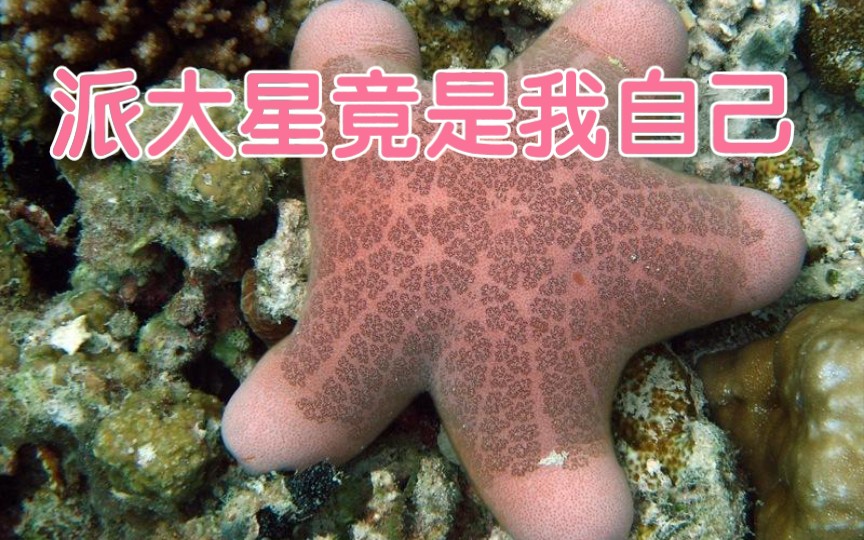 [图]【海星亚门】你知道海星是如何进食的吗