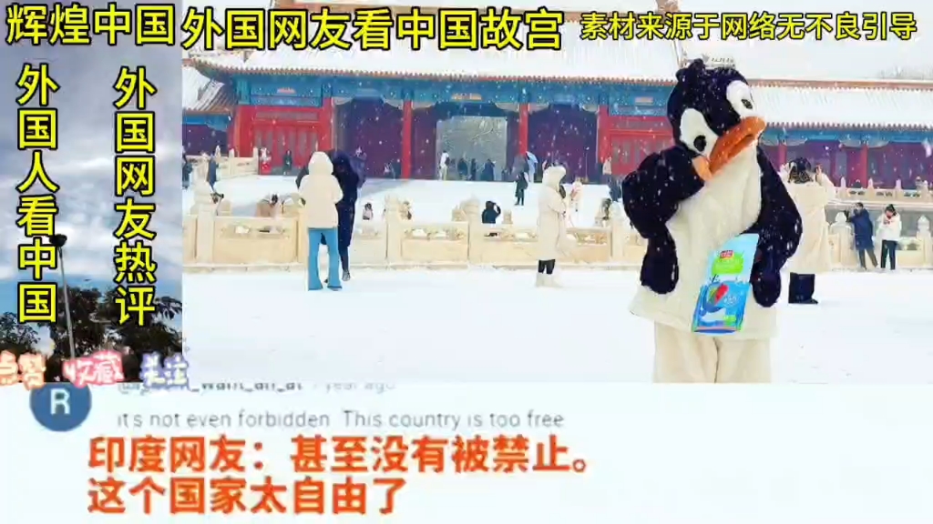 外国网友看中国故宫,也就一个学校的大小?哔哩哔哩bilibili