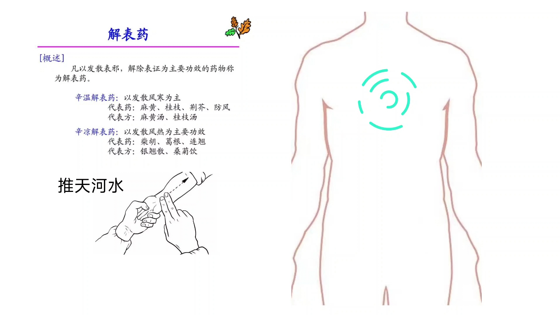 感冒肺炎,用了退烧药,还是反反复复发烧,越烧越高,大多数情况是因为不会用寒凉药.哔哩哔哩bilibili