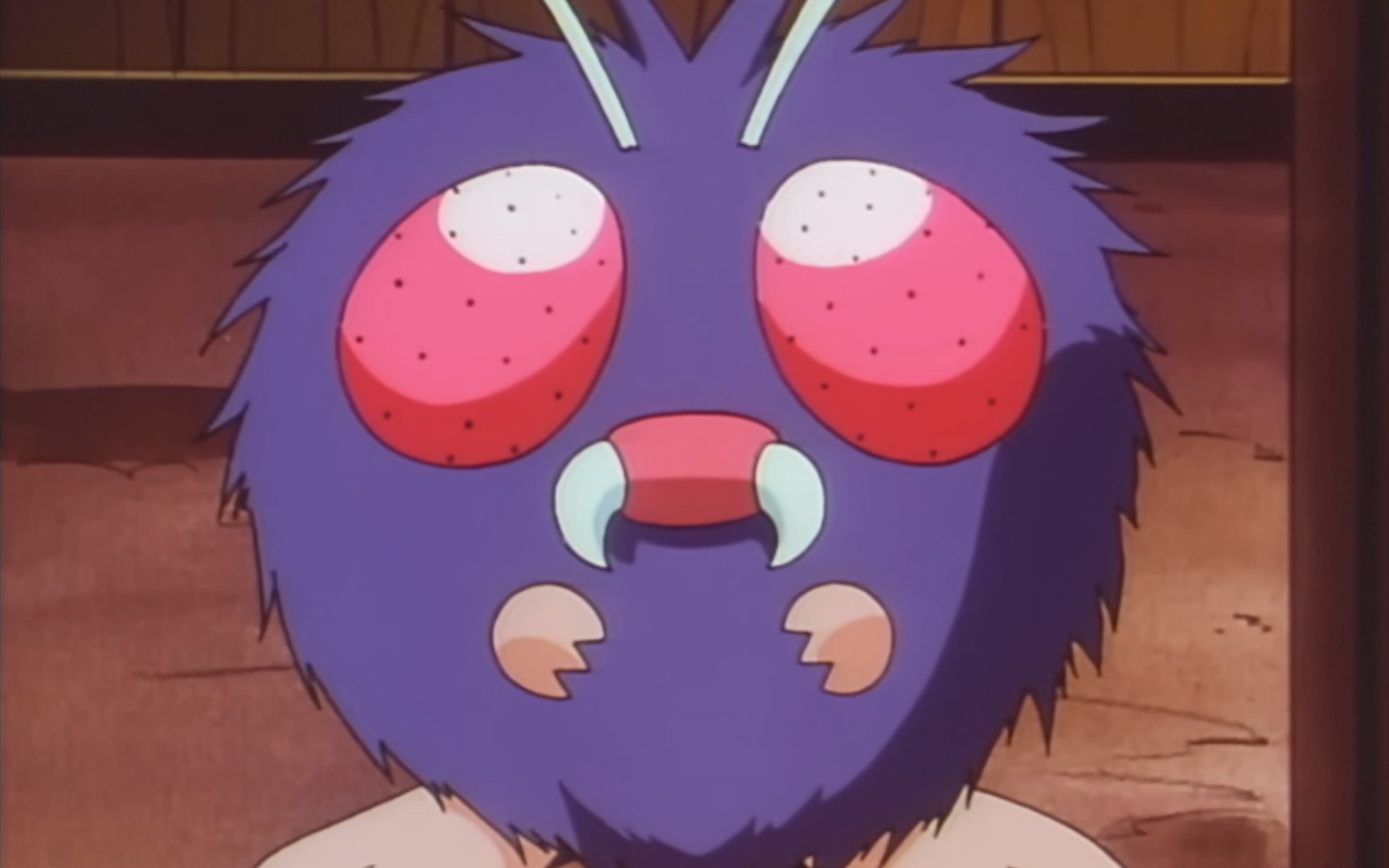 【菲鱼前代闪】精灵宝可梦火红 闪光毛球(附歪闪)