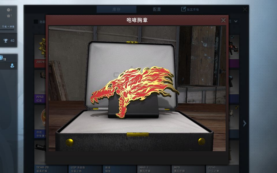 开csgo咆哮勋章箱子,能否一发入魂?