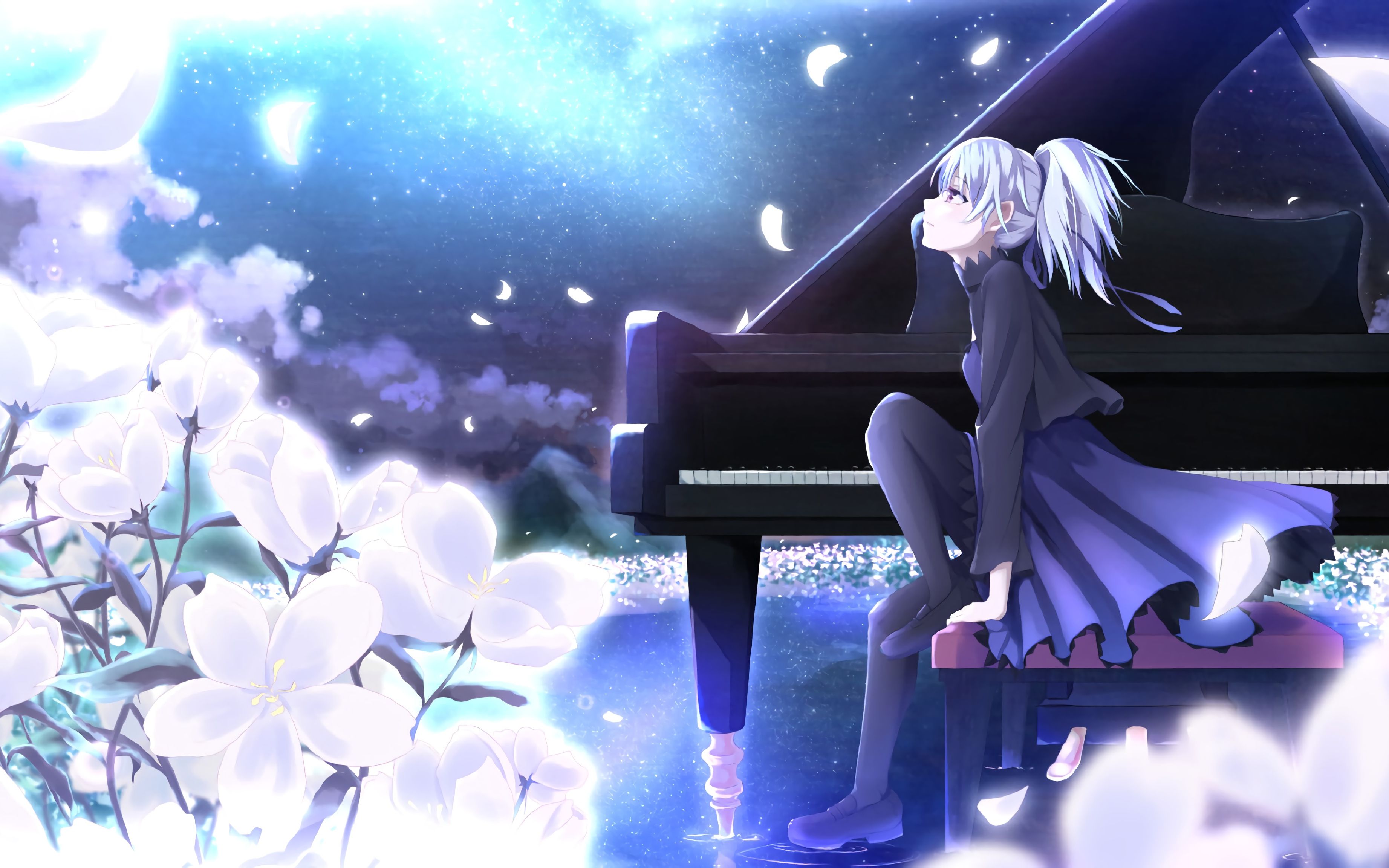 都1202年了,还记得那部[黑之契约者]吗?