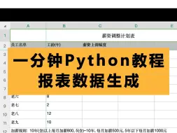 Скачать видео: 一分钟Python教程-报表数据生成