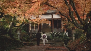 映画 渡哲也 吉永小百合 哔哩哔哩 つロ干杯 Bilibili