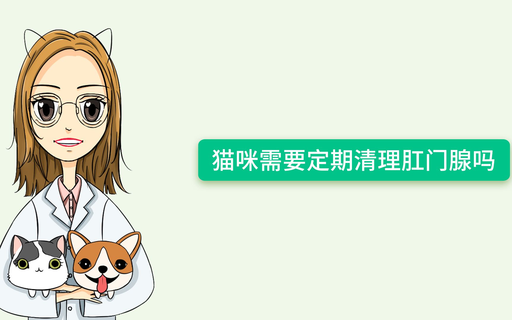 猫咪需要定期清理肛门腺吗?哔哩哔哩bilibili