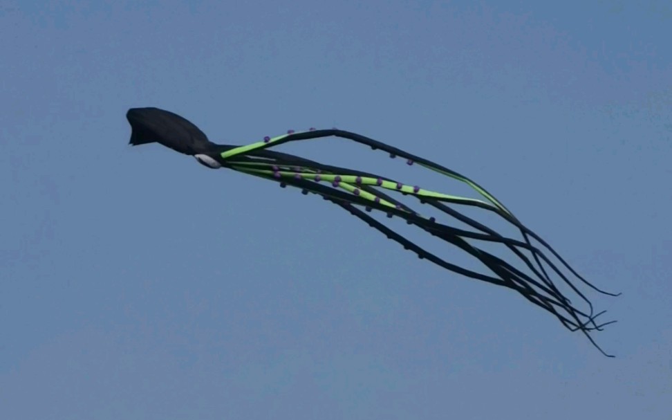 彻底没有了真正的自由,人生就像这鱿鱼风筝一样,被无形之线牢牢拴着.