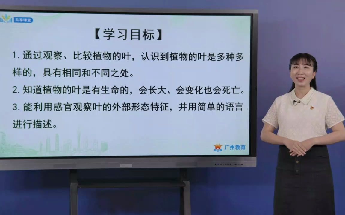 小学科学 一上 1.3 观察叶哔哩哔哩bilibili