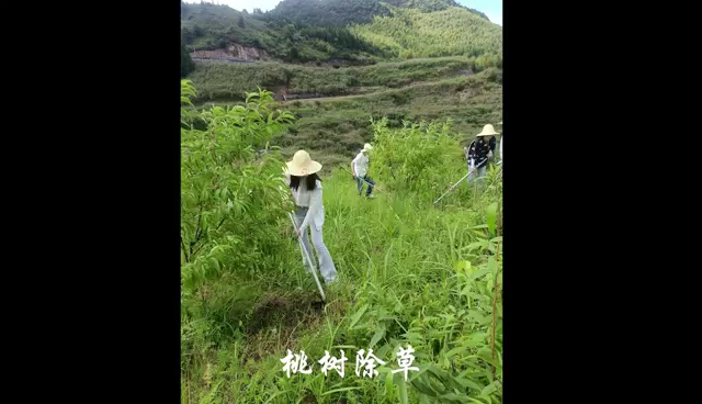 [图]桃花溪四下基层美景