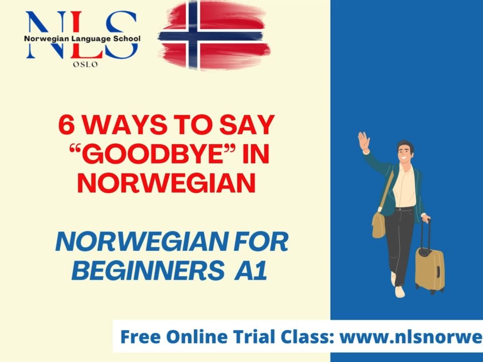 挪威语6 Ways to Say “GOODBYE” in Norwegian哔哩哔哩bilibili