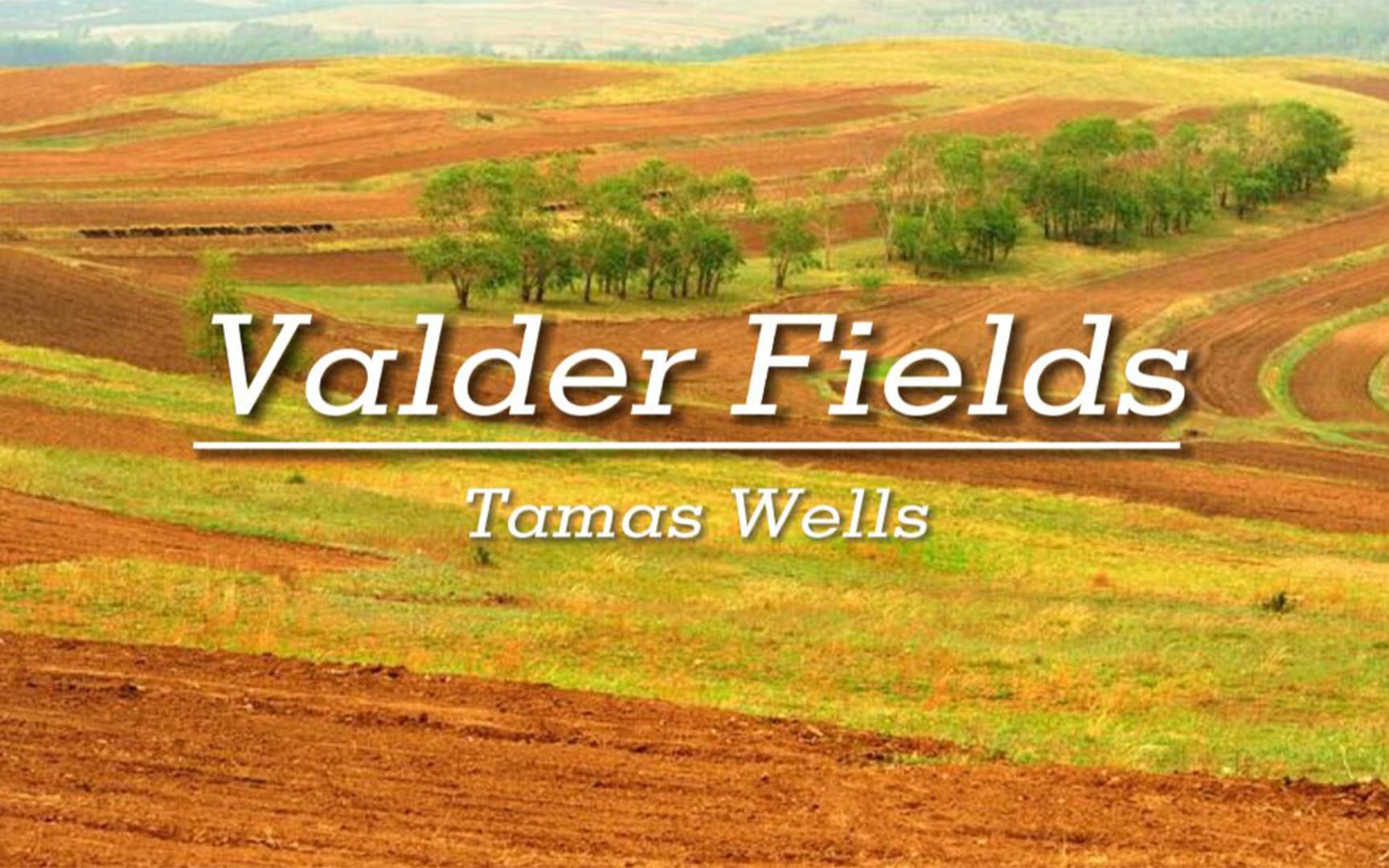 [图]好温柔的歌曲，我已经听了八年了,曲风清新，节奏欢快《Valder Fields》