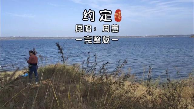 [图]1999年流行歌曲，第15集，《约定》周蕙。