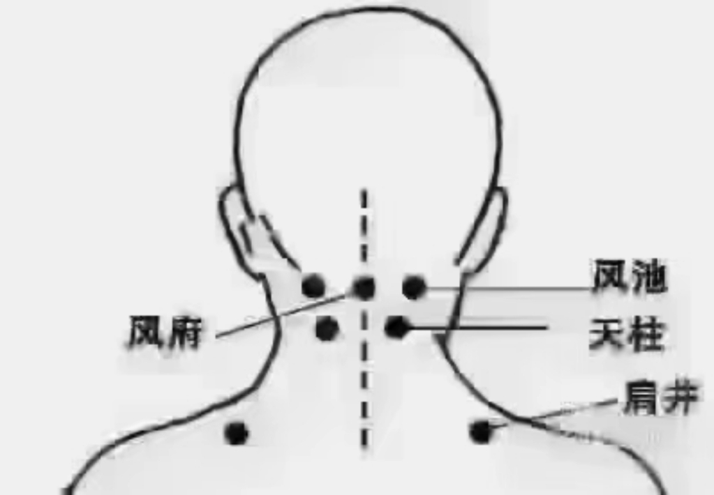 耳朵后面脖子的经络图图片